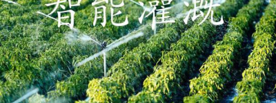 智慧农业：精准灌溉引领绿色革命，乡村振兴新篇章