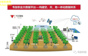 智慧农业新趋势：无人机精准植保引领农业现代化革新