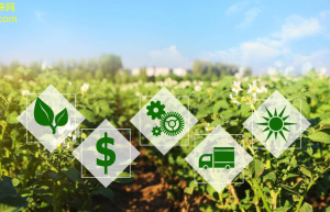 智慧农业科技引领新绿色！