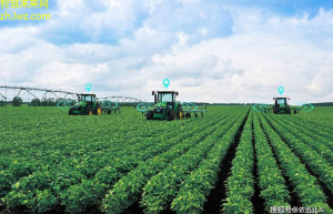 智慧农业科技赋能绿色生产新范式