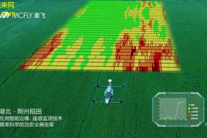 智慧农业新篇章：无人机植保技术助力绿色农业革命